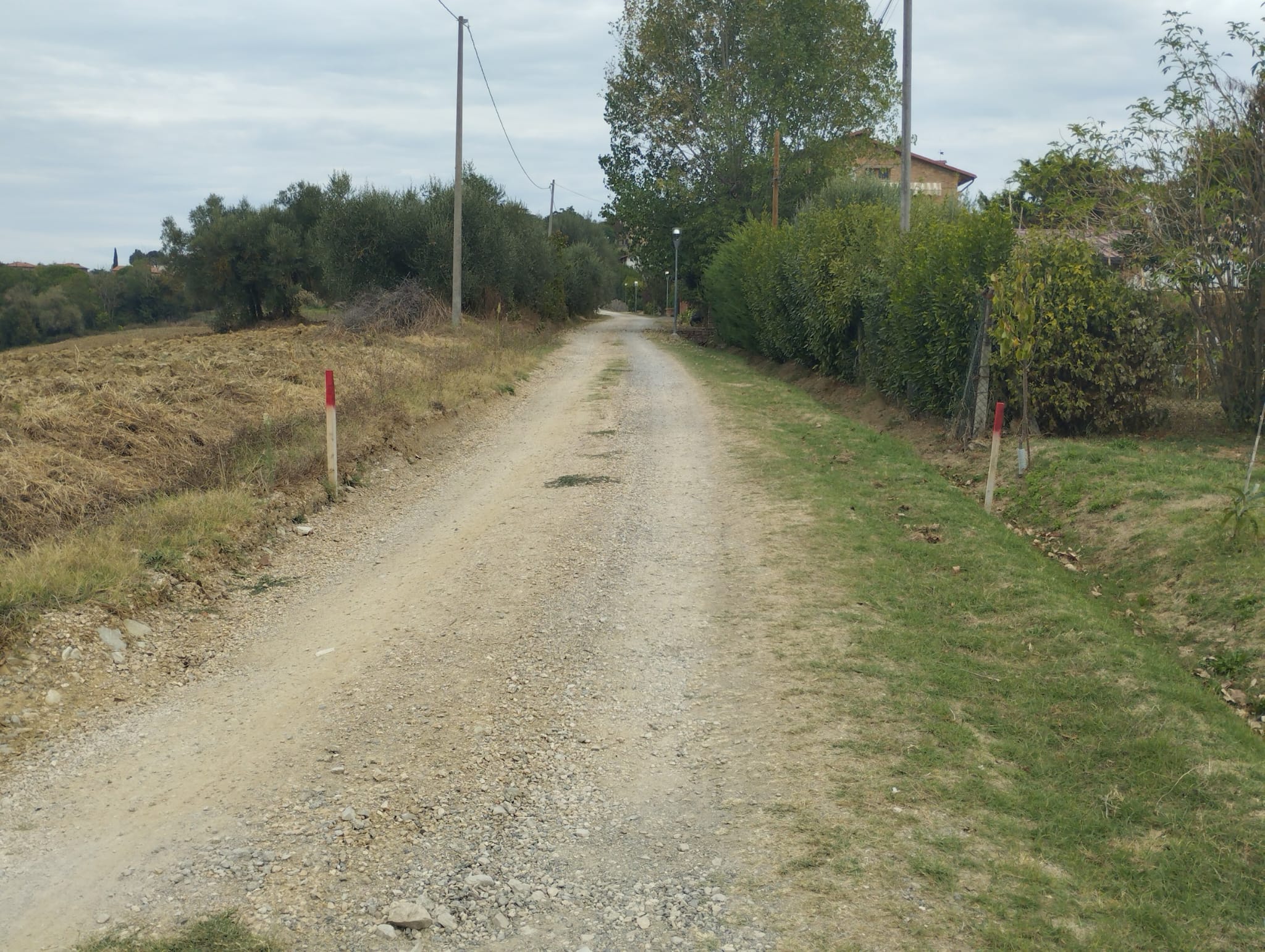Strada sterrata con delimitazioni e capisaldi